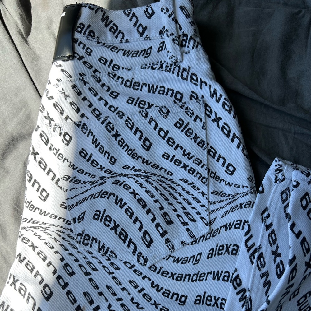 Alexander Wang Skater pants